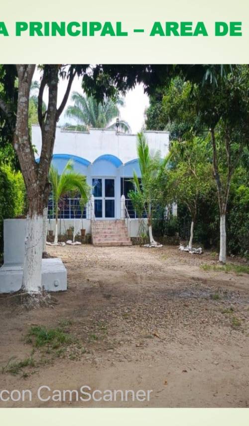 Casa en arriendo en Carmen de Apicalá